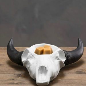 DO NOT BUY THIS ! Looking for this to buy !!!